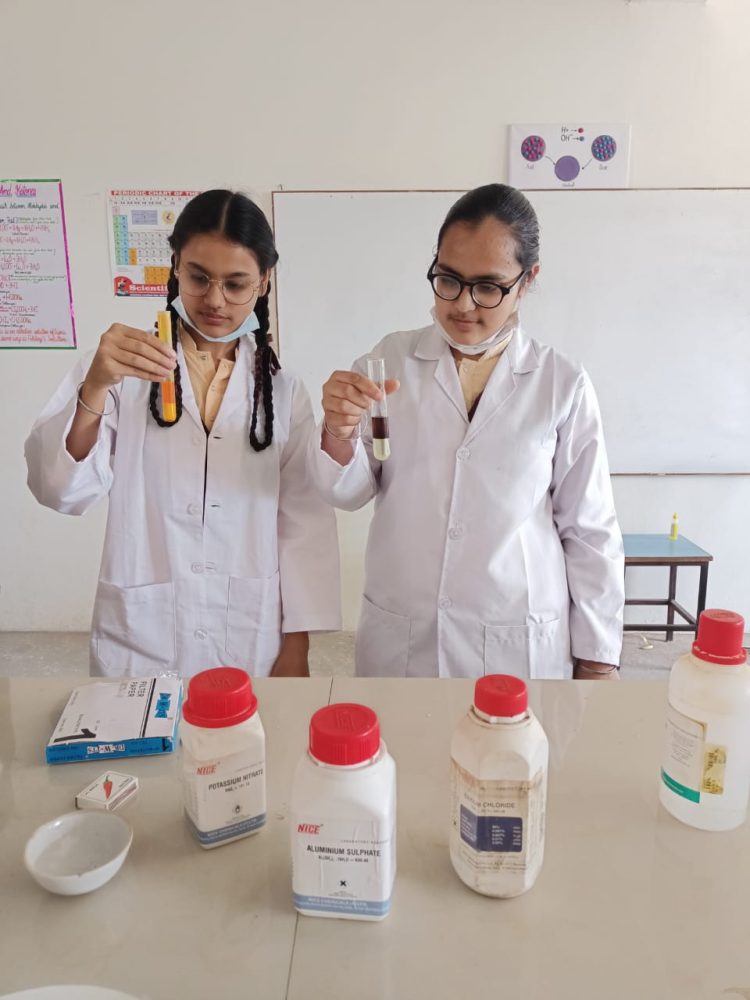 WhatsApp Image 2023-02-22 at 13.29.21 (1)